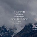 2월 배경화면 이미지