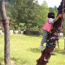 새론유치원 이미지