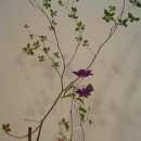 마미플라워 이미지