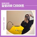 반석홈인테리어 | 용호동다이어트 칼로리바 W스퀘어점 체계적 관리 후기
