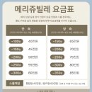 메리딜라이트 | 내돈내산 축의대업체 2곳 비교 추천 페이백 해드려용 💛 메리쥬빌레, 딜라이트메리지