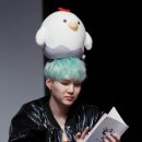 슈가슈