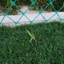 유림가족센터 이미지