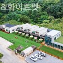 오블리&화이트펫 이미지