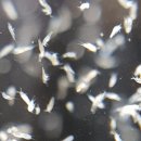 주식회사 아라 이미지