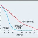 이레사 이미지