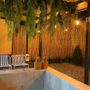 스테이호안 이미지