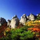 신선대 중턱 네이버블로그