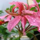 보석상자 이미지