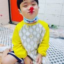 요미아트 이미지