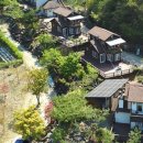 미라실로 이미지