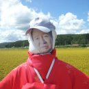 허수아비 이미지