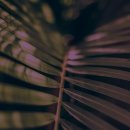 자연식품 - 군산시 | 자연식품
