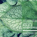 미스틱 왁싱