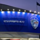 [프로남자배구] 대전충무체육관 : 23-24시즌 삼성화재블루팡스 한국전력빅스톰 5라운드 챔피언석 직관...