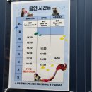 수원 실내 가볼만한곳 아쿠아플라넷 광교 주차 할인 아이랑 아쿠아리움