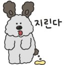 썸바디케어