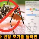 백신 접종과 GMO 모기 이야기 이미지