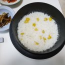 박경철농장 네이버블로그