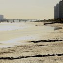 포구어가 이미지