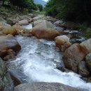 새밭야영장 이미지