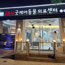24시 굿케어동물의료센터 | 서울대입구 24시 동물병원 굿케어 동물 의료센터 후기 이물질을 삼킨 나의 작은 고양이 아기