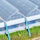 (주)비에스팜 이미지