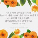 영원한 관계 14- 이미지