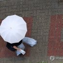 소나기 - 진주시 대신로 289-1 | 소나기