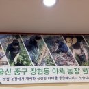 임꺽정숯불갈비 이미지