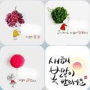 백장미사 이미지