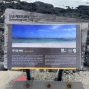 CU제주김녕리점 | 인스타그램 핫플! 제주 감성 해변 3곳 비교 후기 (세기알해변·판포포구·월령포구)