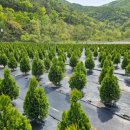 태림농장 이미지