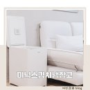 11545-02-05-48 | 미니 김치냉장고 추천 소형 39L 사이즈 크기 음료 미닉스 후기