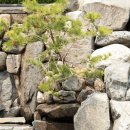 고척근린공원 이미지