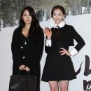 다솜 이미지