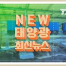 삼양 태양광발전소 이미지