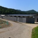 보은목장 이미지