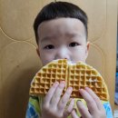 코끼리가 반한 핫도그&와플 이미지