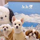 금촌애견 이미지