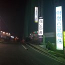 학성스포렉스 이미지