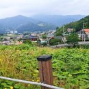 대석저수지 이미지