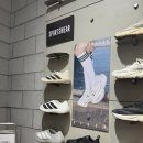 쿨팁 | 아디다스 클라이마쿨 레이스드 후기 | 사이즈 팁 재고 매장 할인 꿀팁까지