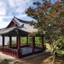 양화 이민도 묘 이미지