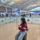 현지 여행 일본어(야간) | [여행]126. 다낭 3박5일 가족여행 1일차 | 콩카페, 껌땀데이, 핑크성당, 한시장