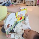 부릉부릉빵빵 | 베이비올 아기 첫만남 챌린지 두번째 ep.2 부릉부릉 빵빵