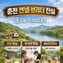 더나은펫샵 | “춘천 유일 브리더 광고는 허위, 믿을 만한 브리더 3곳 소개합니다.”