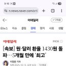 윤석열때 환율보고 나라망한다고 외치던 개딸과 민주당은 뭐하냐? 같은 현상에 대해서 똑같이 말해라.... 이미지