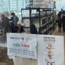 파블박사 이미지
