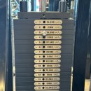 더조아짐 서홍점 헬스&PT | (더조아짐 서홍점) 기구 입고 소식! 제주도에도 왓슨이!! - 왓슨 애니멀 듀얼 스택 체스트 프레스.